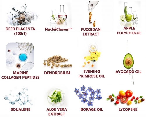 PURTIER PHIÊN BẢN 6 LÀ PHIÊN BẢN MỚI NHẤT BỔ XUNG CÁC THÀNH PHẦN QUÝ HIẾM PURTIER PHIÊN BẢN 6 LÀ PHIÊN BẢN MỚI NHẤT BỔ XUNG CÁC THÀNH PHẦN QUÝ HIẾM