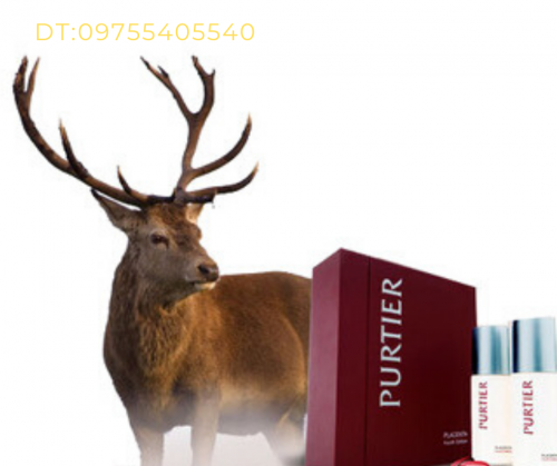 GIÁ CỦA PURTIER PLACENTA ? GIÁ CỦA PURTIER PLACENTA ?