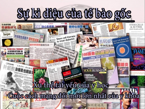 Sự Thần Kỳ Của Tế Bào Gốc Purtier Trên Các Báo Quốc Tế Sự Thần Kỳ Của Tế Bào Gốc Purtier Trên Các Báo Quốc Tế