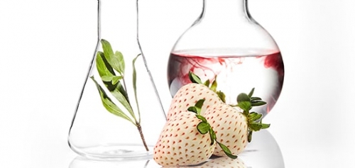 Chất Nucleiclavem có trong Purtier Chất Nucleiclavem có trong Purtier